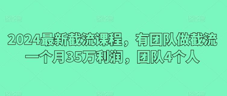 2024最新截流课程，有团队做截流一个月35万利润，团队4个人-随风资源网