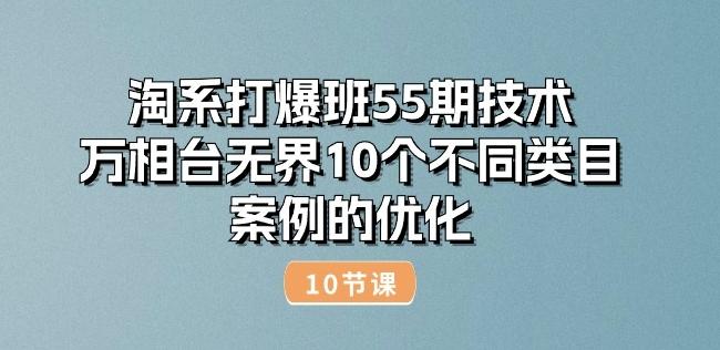 淘系打爆班55期技术：万相台无界10个不同类目案例的优化(10节)-随风资源网
