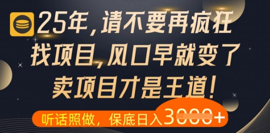 什么？25年你还在疯狂找项目做，醒醒吧，看完这些你全都懂了【揭秘】-随风资源网
