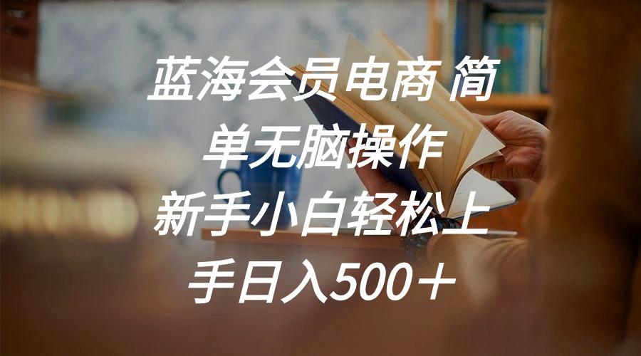 蓝海会员电商 简单无脑操作 新手小白轻松上手日入500＋-随风资源网