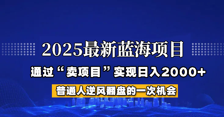 2025年蓝海项目，如何通过“网创项目”日入2000+-随风资源网