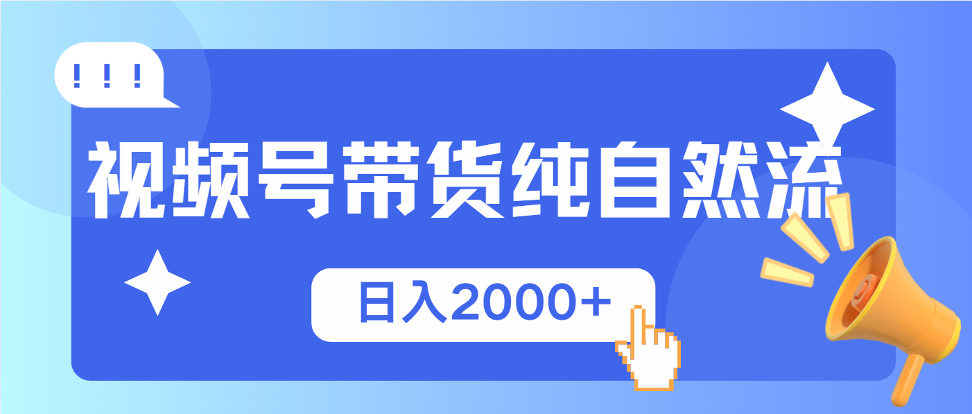 视频号带货，纯自然流，起号简单，爆率高轻松日入2000+-随风资源网