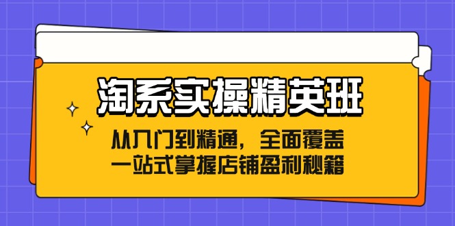 淘系实操精英班：从入门到精通，全面覆盖，一站式掌握店铺盈利秘籍-随风资源网