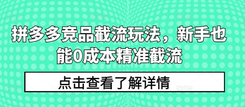 拼多多竞品截流玩法，新手也能0成本精准截流-随风资源网