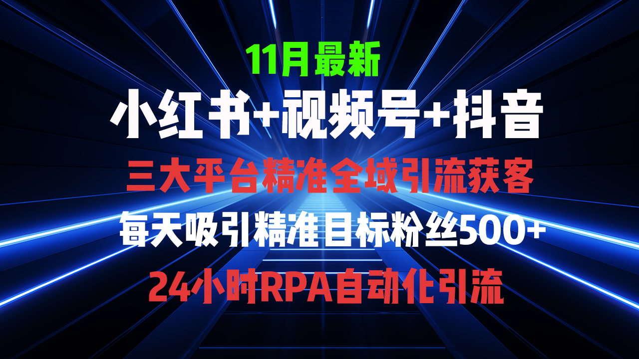 全域多平台引流私域打法，小红书，视频号，抖音全自动获客，截流自…-随风资源网