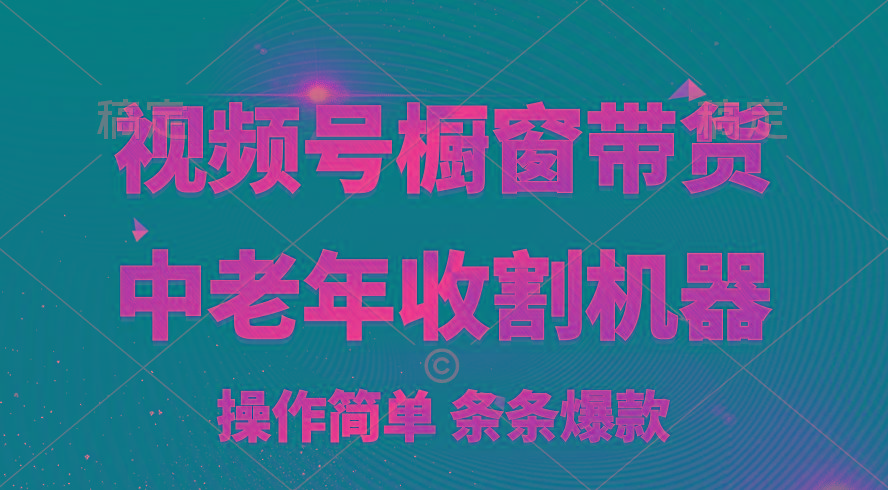 [你的孩子成功取得高位]视频号最火爆赛道，橱窗带货，流量分成计划，条…-随风资源网