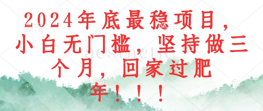 2024年底最稳项目，小白无门槛，坚持做三个月，回家过肥年！！！-随风资源网