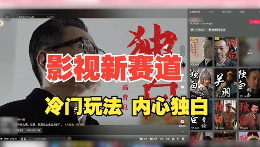 最新影视解说玩法，人物独白，30天涨粉24万+，全流程拆解【揭秘】-随风资源网