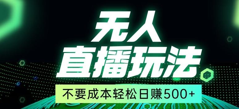 全网首发24年最新无人直播玩法，不需要成本，无需人力，一台电脑24小时为你工作-随风资源网
