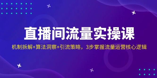 直播间流量实操课：机制拆解+算法洞察+引流策略，3步掌握流量运营核心逻辑-随风资源网