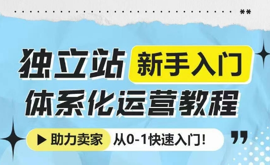 独立站新手入门体系化运营教程，助力独立站卖家从0-1快速入门!-随风资源网