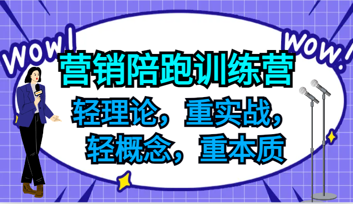 营销陪跑训练营，轻理论，重实战，轻概念，重本质，适合中小企业和初创企业的老板-随风资源网