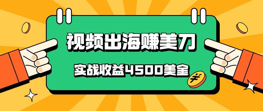 国内爆款视频出海赚美刀，实战收益4500美金，批量无脑搬运，无需经验直接上手-随风资源网