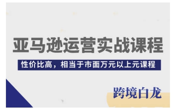 亚马逊运营实战课程，亚马逊从入门到精通，性价比高，相当于市面万元以上元课程-随风资源网