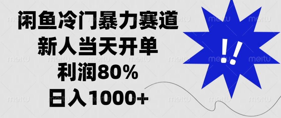 闲鱼冷门暴力赛道，新人当天开单，利润80%，日入1000+-随风资源网