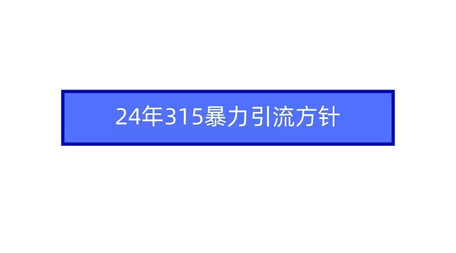 2024年自媒体爆款视频制作，快速涨粉暴力引流方针！-随风资源网