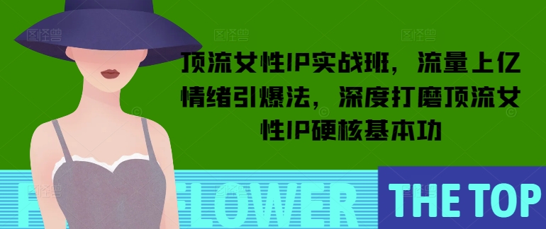 顶流女性IP实战班，流量上亿情绪引爆法，深度打磨顶流女性IP硬核基本功-随风资源网