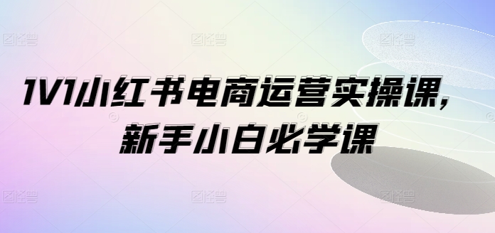 1V1小红书电商运营实操课，新手小白必学课-随风资源网