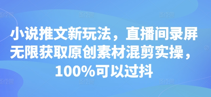 小说推文新玩法，直播间录屏无限获取原创素材混剪实操，100%可以过抖-随风资源网