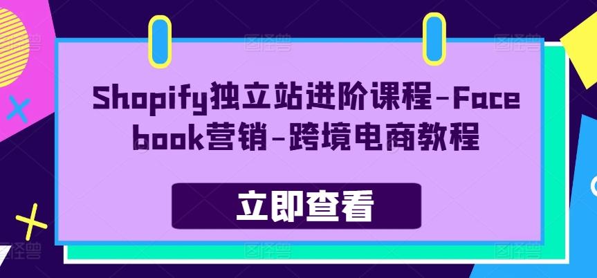 Shopify独立站进阶课程-Facebook营销-跨境电商教程-随风资源网