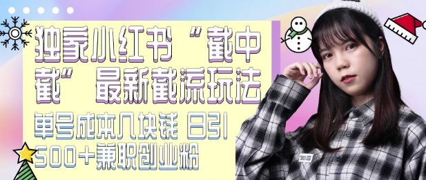 最新小红书截流玩法 独家截中截 单号成本几块钱 日引500+CY粉JZ粉-随风资源网