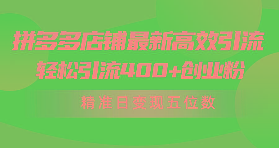 (10041期)拼多多店铺最新高效引流术，轻松引流400+创业粉，精准日变现五位数！-随风资源网