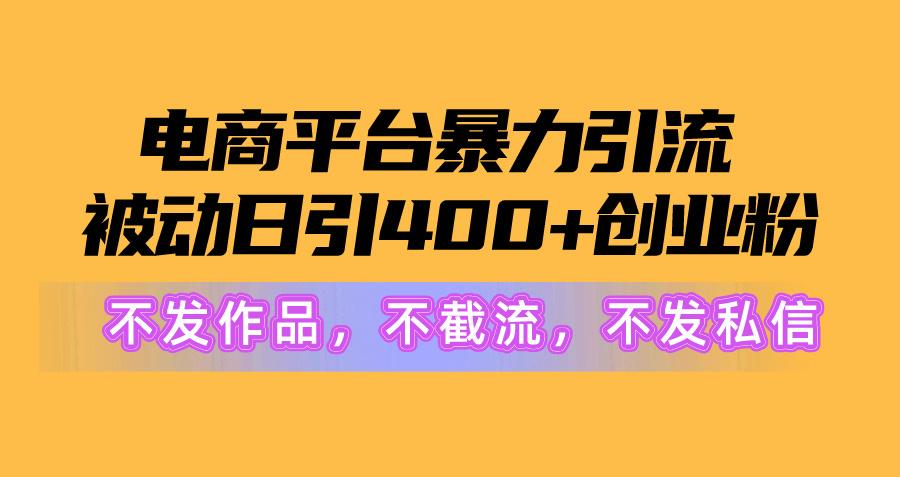电商平台暴力引流,被动日引400+创业粉不发作品，不截流，不发私信-随风资源网