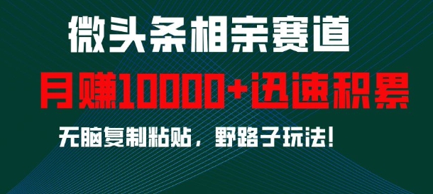 微头条相亲赛道，迅速积累，无脑复制粘贴，野路子玩法，月入1w-随风资源网