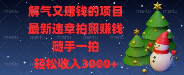 解气又挣钱的项目，最新违章拍照挣钱，随手一拍，轻松收入数张【揭秘】-随风资源网