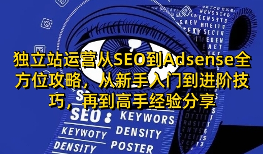 独立站运营从SEO到Adsense全方位攻略，从新手入门到进阶技巧，再到高手经验分享-随风资源网