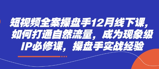 短视频全案操盘手12月线下课，如何打通自然流量，成为现象级IP必修课，操盘手实战经验-随风资源网