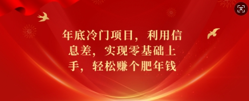 年底冷门项目，利用信息差，实现零基础上手，轻松赚个肥年钱【揭秘】-随风资源网