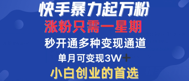 快手暴力起万粉，涨粉只需一星期，多种变现模式，直接秒开万合，单月变现过W【揭秘】-随风资源网