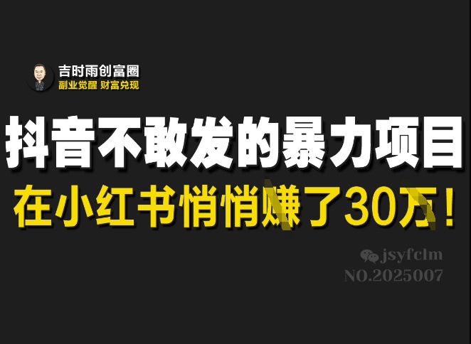 抖音不敢发的暴利项目，在小红书悄悄挣了30W-随风资源网