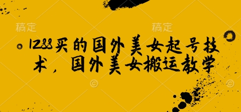 1288买的国外美女起号技术，国外美女搬运教学-随风资源网