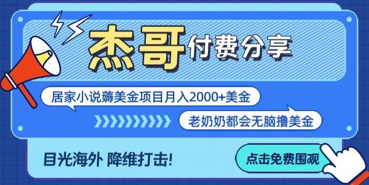 拆解海外撸美金项目月入2000美刀详细指导-随风资源网