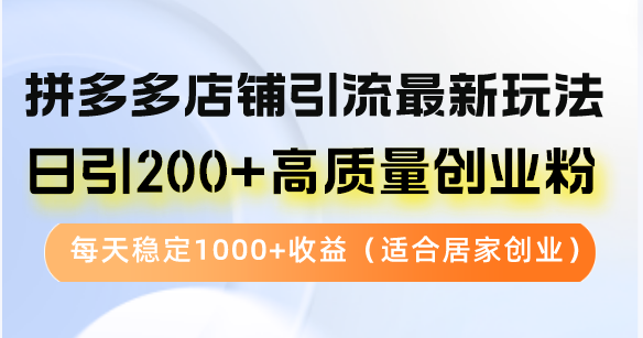 拼多多店铺引流最新玩法，日引200+高质量创业粉，每天稳定1000+收益(…-随风资源网