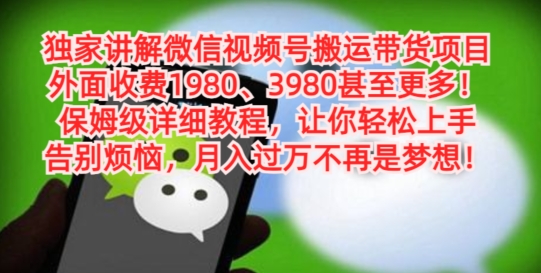 独家讲解微信视频号搬运带货项目，保姆级详细教程-随风资源网