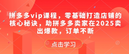 拼多多vip课程，零基础打造店铺的核心秘诀，助拼多多卖家在2025卖出爆款，订单不断-随风资源网