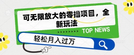 可无限放大的零撸项目，全新玩法，一天单机撸个50+没问题【揭秘】-随风资源网