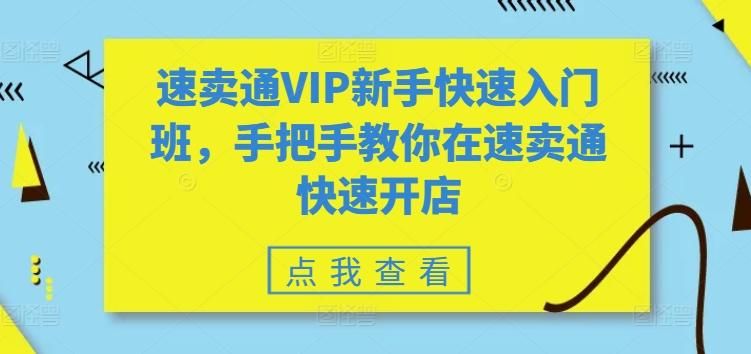 速卖通VIP新手快速入门班，手把手教你在速卖通快速开店-随风资源网