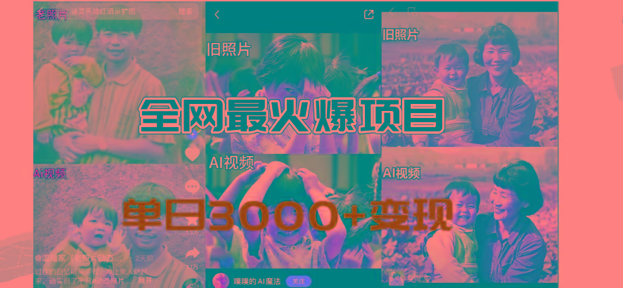 全网爆火的AI让老照片动起来教程，蹭热点日赚3000+，内含免费工具一键…-随风资源网