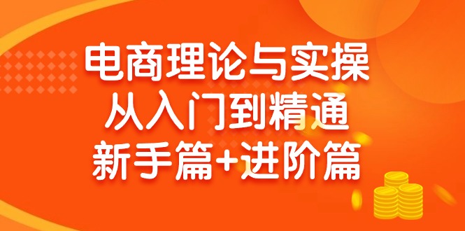 (9576期)电商理论与实操从入门到精通 新手篇+进阶篇-随风资源网
