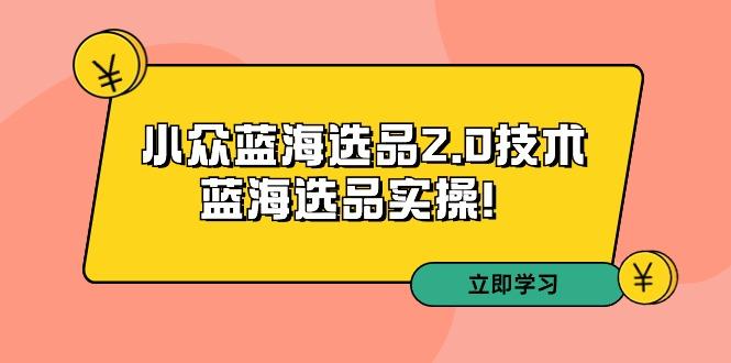 拼多多培训第33期：小众蓝海选品2.0技术-蓝海选品实操！-随风资源网