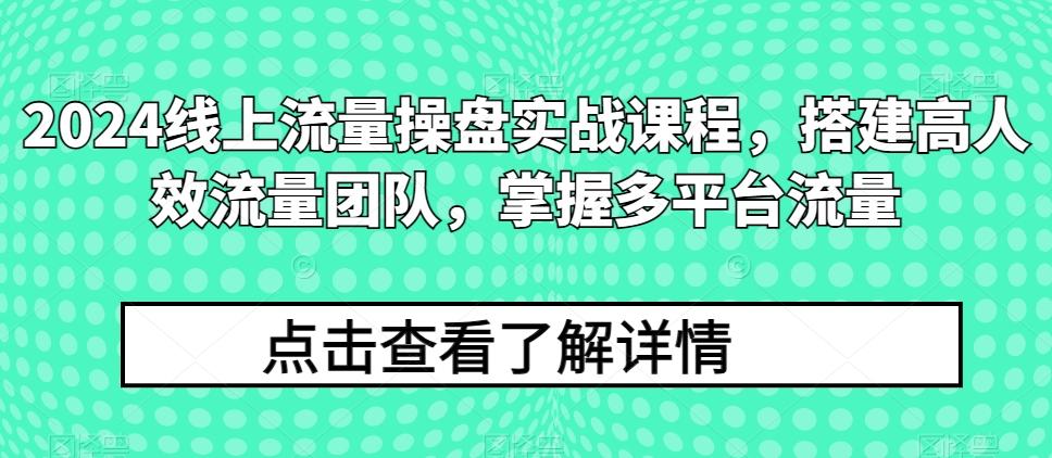 2024线上流量操盘实战课程，搭建高人效流量团队，掌握多平台流量-随风资源网