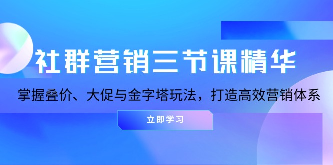 社群营销三节课精华：掌握叠价、大促与金字塔玩法，打造高效营销体系-随风资源网