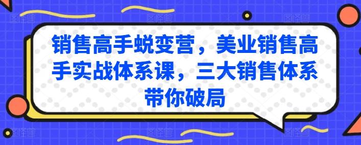 销售高手蜕变营，美业销售高手实战体系课，三大销售体系带你破局-随风资源网