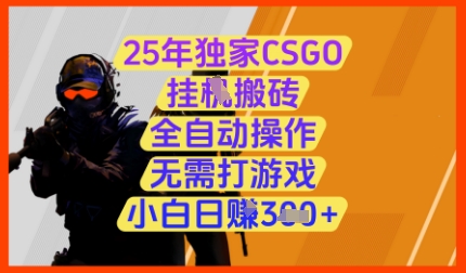 25年独家CSGO挂G搬砖，全自动操作，无需打游戏，小白日入3张+【揭秘】-随风资源网