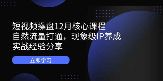 短视频操盘12月核心课程：自然流量打通，现象级IP养成，实战经验分享-随风资源网