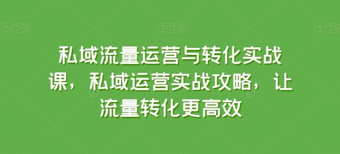 私域流量运营与转化实战课，私域运营实战攻略，让流量转化更高效-随风资源网